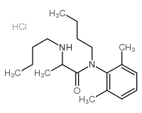 N-butyl-2-butylamino-N-(2,6-dimethylphenyl)propanamide hydrochloride picture