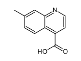 7-methylquinoline-4-carboxylic acid Structure