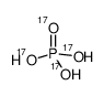 PHOSPHORIC ACID-17O4 picture