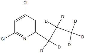 2,4-Dichloro-6-(n-propyl-d7)-pyridine picture