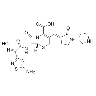 Ceftobiprole Structure