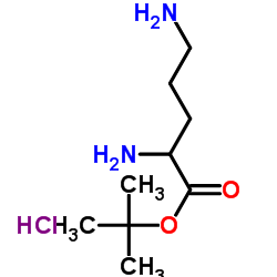 BOC-1,4-DIAMINOBUTANE HYDROCHLORIDE picture