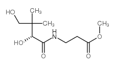 methyl 3-[[(2R)-2,4-dihydroxy-3,3-dimethylbutanoyl]amino]propanoate结构式