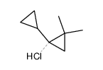 1-chloro-2,2-dimethyl-1,1'-bi(cyclopropane)结构式