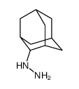 2-adamantylhydrazine Structure