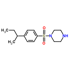 1-[(4-sec-Butylphenyl)sulfonyl]piperazine结构式