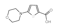 5-Morpholinothiophene-2-carboxylic acid Structure