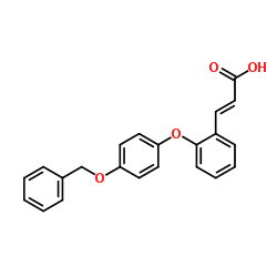 (E)-3-(2-[4-(BENZYLOXY)PHENOXY]PHENYL)-2-PROPENOIC ACID picture