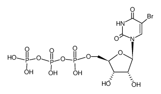 5-bromouridine triphosphate picture