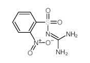 Benzenesulfonamide, N-(aminoiminomethyl)-2-nitro-结构式