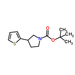 叔-丁基 3-(噻吩-2-基)吡咯烷-1-甲酸基酯结构式