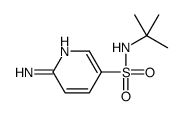 6-amino-N-tert-butylpyridine-3-sulfonamide图片