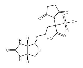 biotinyl-N-hydroxysulfosuccinimide ester picture