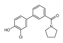 [3-(3-chloro-4-hydroxyphenyl)phenyl]-pyrrolidin-1-ylmethanone结构式