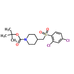 4-(2,4-Dichloro-benzenesulfonylmethyl)-piperidine-1-carboxylic acid tert-butyl ester图片