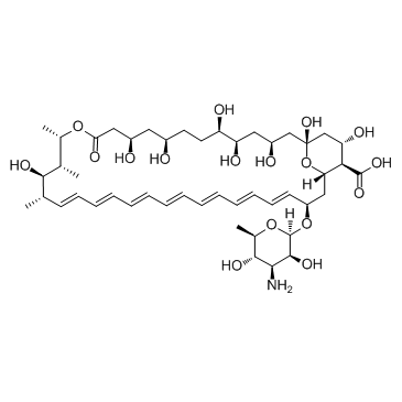 Amphotericin B Structure