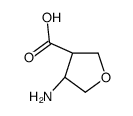 3-Furancarboxylicacid,4-aminotetrahydro-,(3R,4S)-rel-(9CI)结构式