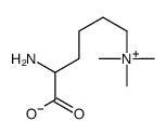 19253-88-4 structure