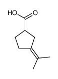 3-isopropylidene-cyclopentanecarboxylic acid Structure