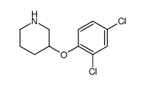 3-(2,4-Dichlorophenoxy)piperidine Structure