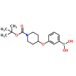 3-(N-BOC-Piperidin-4-yloxy)phenylboronic acid图片