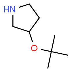 3-T-BUTOXYPYRROLIDINE Structure