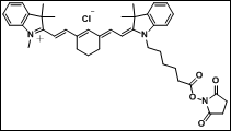脂溶Cy7-N-羟基琥珀酰亚胺酯图片