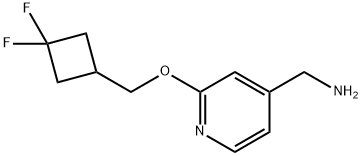 (2-((3,3-difluorocyclobutyl)methoxy)pyridin-4-yl)methanamine Structure
