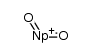 dioxoneptunium(V)(2+) Structure