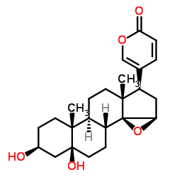 Marinobufogenin picture