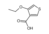 4-ethoxythiophene-3-carboxylic acid结构式