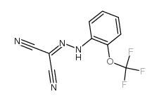 2-[2-[2-(三氟甲氧基)苯基]肼基]丙二腈结构式