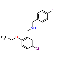 1-(5-Chloro-2-ethoxyphenyl)-N-(4-fluorobenzyl)methanamine结构式