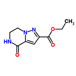 4-氧代-4,5,6,7-四氢吡唑并[1,5-a]吡嗪-2-羧酸乙酯结构式