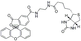 生物素(5-荧光素)缀合物染色剂图片