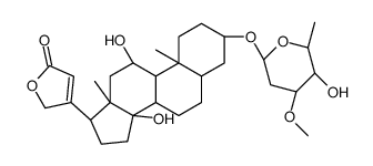 蔓茎毒毛旋花子苷图片