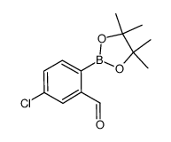 1132669-91-0 structure