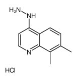 (7,8-dimethylquinolin-4-yl)hydrazine,hydrochloride Structure