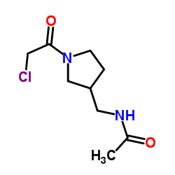 N-{[1-(Chloroacetyl)-3-pyrrolidinyl]methyl}acetamide结构式