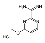 4-methoxypyrimidine-2-carboximidamide,hydrochloride picture