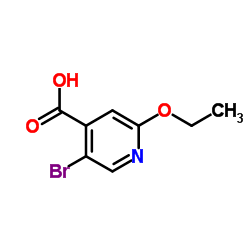 1379305-67-5 structure