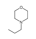 4-propylmorpholine Structure