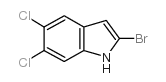 2-溴-5,6-二氯-1H-吲哚图片