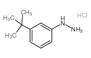 (3-(叔丁基)苯基)肼盐酸盐图片