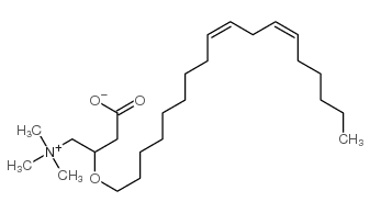 Linoleyl carnitine structure