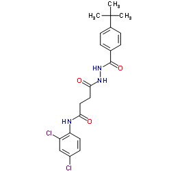 4-[2-(4-tert-butylbenzoyl)hydrazino]-N-(2,4-dichlorophenyl)-4-oxobutanamide Structure