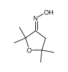 (E)-2,2,5,5-tetramethyl-dihydro-furan-3-one oxime结构式