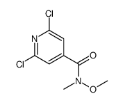 2,6-dichloro-N-methoxy-N-methylisonicotinamide picture