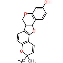 Phaseolin structure