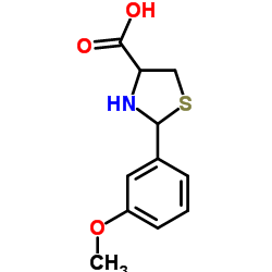 2-(3-Methoxyphenyl)-1,3-thiazolidine-4-carboxylic acid Structure